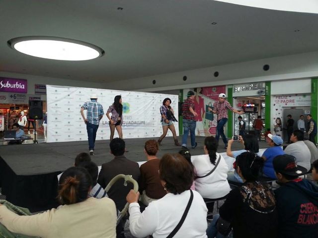 INDIGO CREW