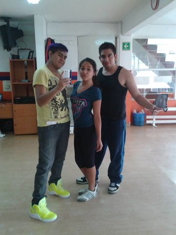 ensayo aide